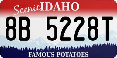 ID license plate 8B5228T