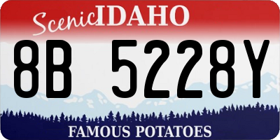 ID license plate 8B5228Y
