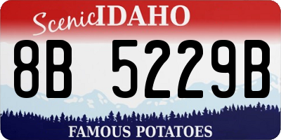 ID license plate 8B5229B