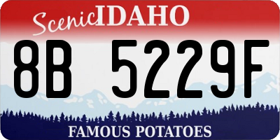 ID license plate 8B5229F