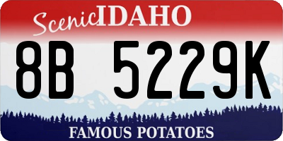 ID license plate 8B5229K