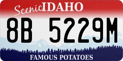 ID license plate 8B5229M