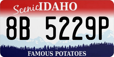 ID license plate 8B5229P