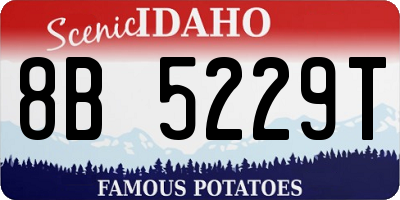ID license plate 8B5229T