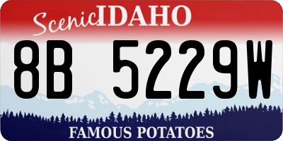 ID license plate 8B5229W