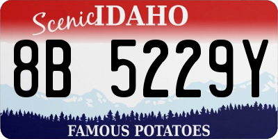 ID license plate 8B5229Y