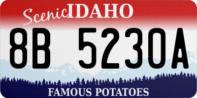 ID license plate 8B5230A