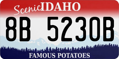 ID license plate 8B5230B