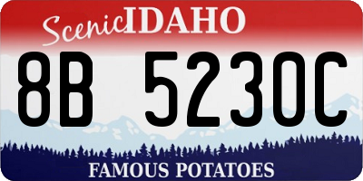 ID license plate 8B5230C