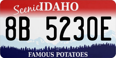 ID license plate 8B5230E