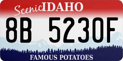 ID license plate 8B5230F