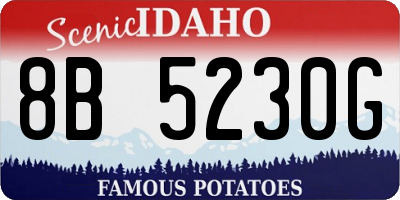 ID license plate 8B5230G