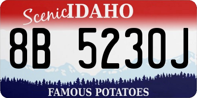 ID license plate 8B5230J