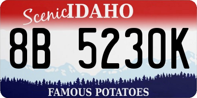 ID license plate 8B5230K