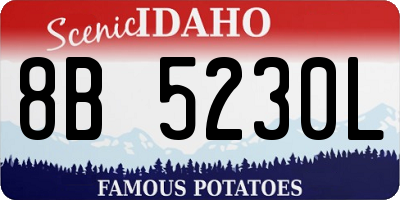 ID license plate 8B5230L