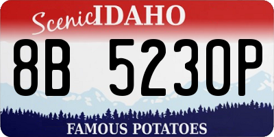 ID license plate 8B5230P