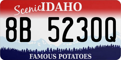 ID license plate 8B5230Q