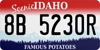 ID license plate 8B5230R