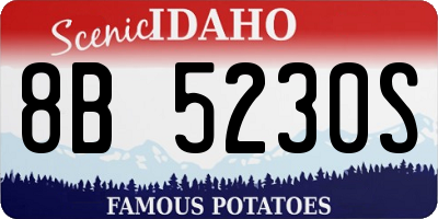 ID license plate 8B5230S