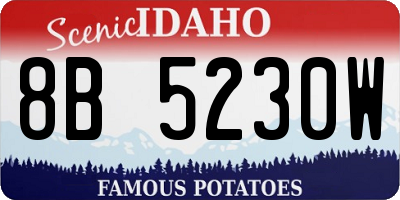 ID license plate 8B5230W