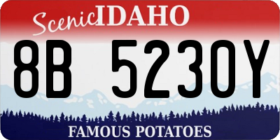 ID license plate 8B5230Y