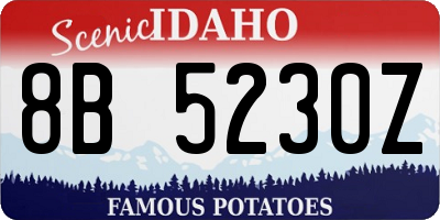 ID license plate 8B5230Z