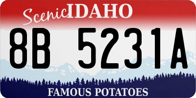 ID license plate 8B5231A