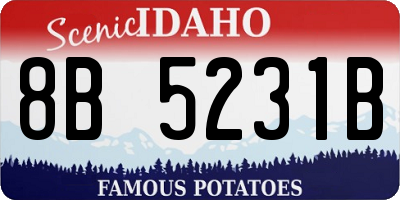 ID license plate 8B5231B