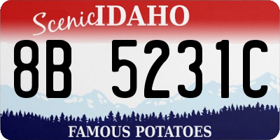ID license plate 8B5231C