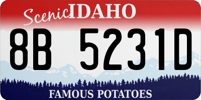 ID license plate 8B5231D
