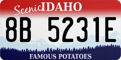 ID license plate 8B5231E