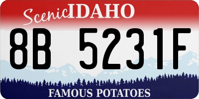ID license plate 8B5231F