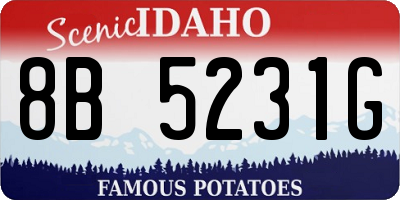 ID license plate 8B5231G