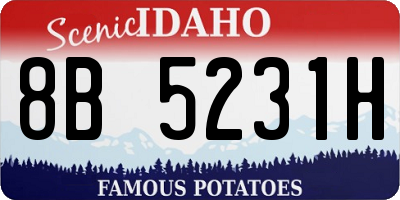 ID license plate 8B5231H
