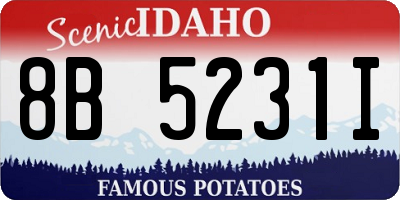 ID license plate 8B5231I