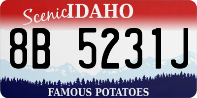 ID license plate 8B5231J