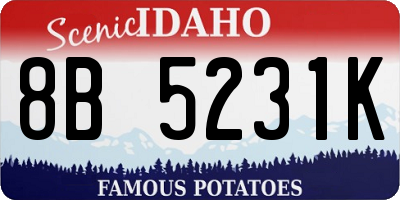ID license plate 8B5231K