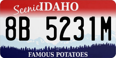 ID license plate 8B5231M