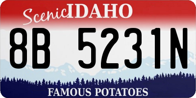 ID license plate 8B5231N