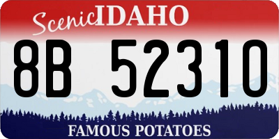 ID license plate 8B5231O