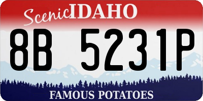 ID license plate 8B5231P