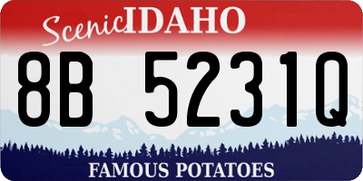 ID license plate 8B5231Q