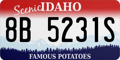 ID license plate 8B5231S