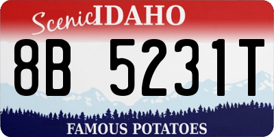 ID license plate 8B5231T