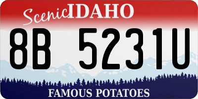 ID license plate 8B5231U