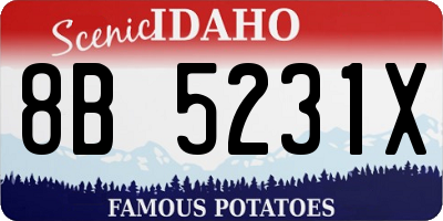 ID license plate 8B5231X