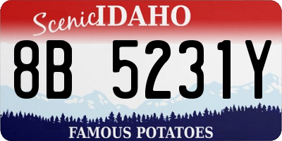 ID license plate 8B5231Y
