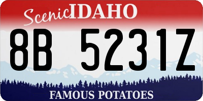 ID license plate 8B5231Z