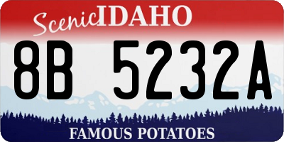 ID license plate 8B5232A