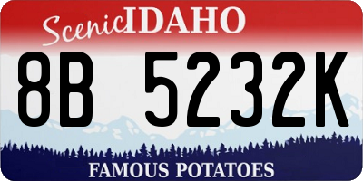 ID license plate 8B5232K